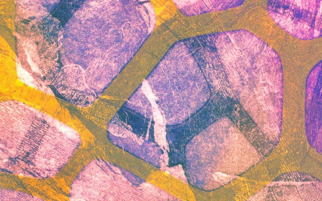 Autumn 2023: October 23rd 2023