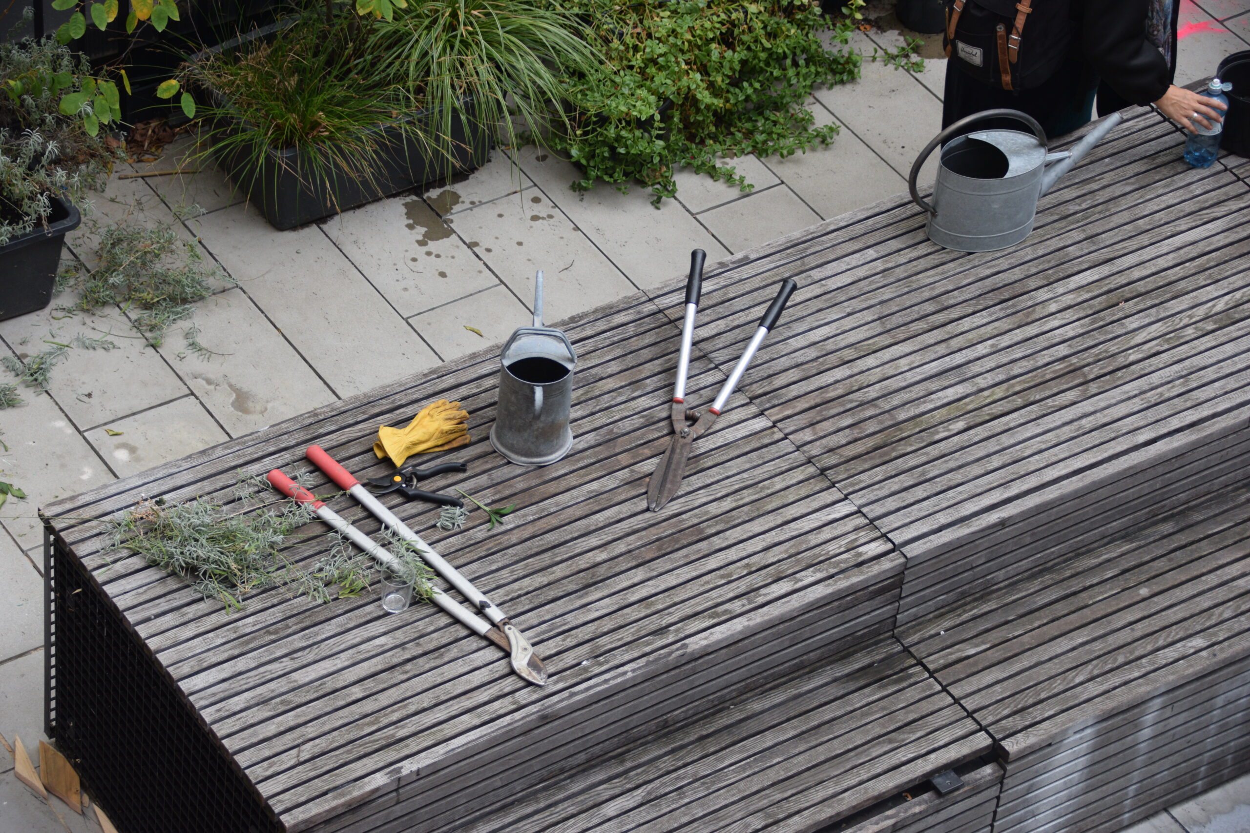 Raum für Nachhaltigkeit 20. November 2023